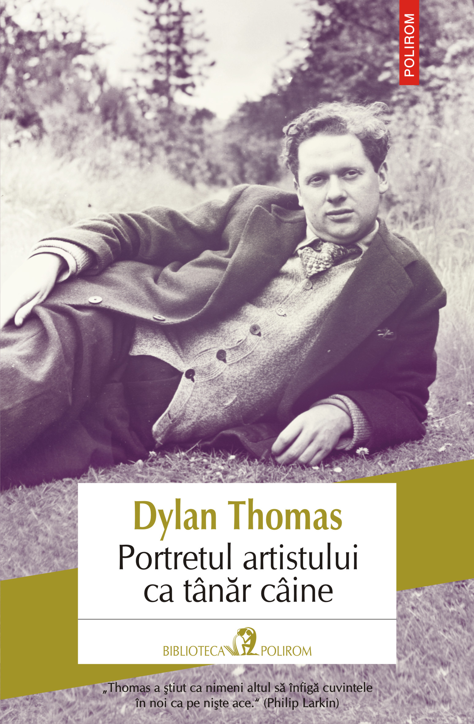 eBook Portretul artistului ca tanar caine - Dylan Thomas