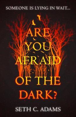Are You Afraid of the Dark? - Seth C Adams
