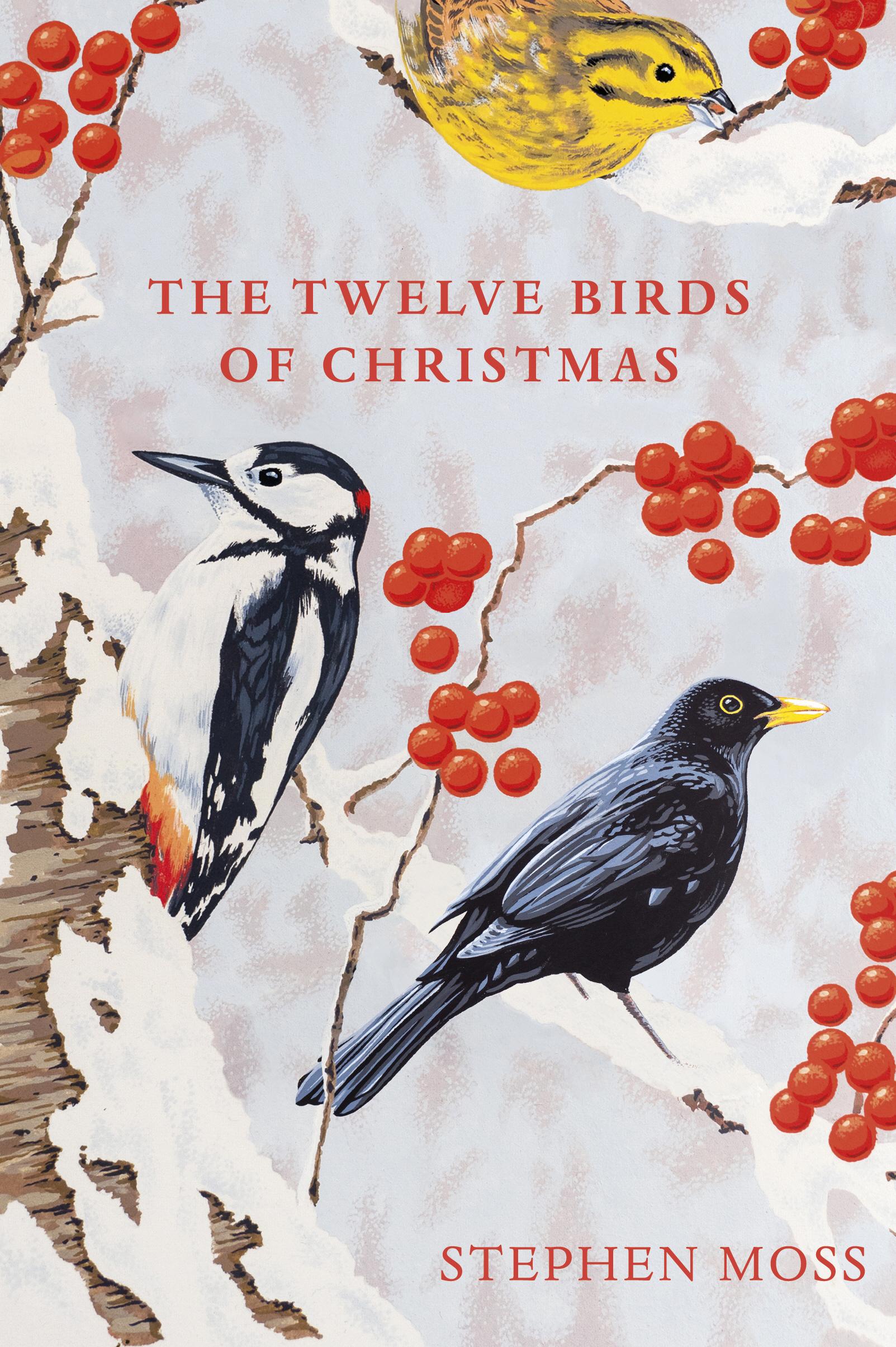 Twelve Birds of Christmas - Stephen Moss