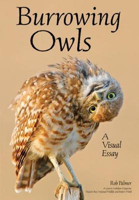Burrowing Owls - Rob Palmer
