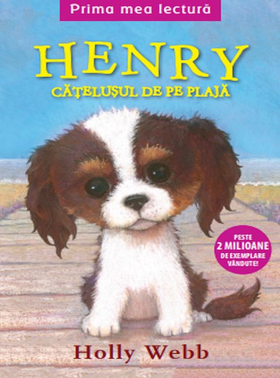 Henry, catelusul de pe plaja - Holly Webb