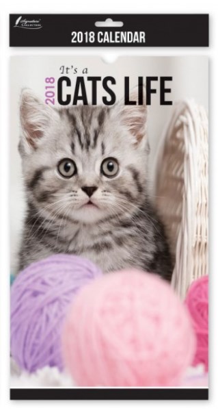 Calendar 2018 Midi Cat's Life