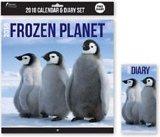 Calendar si agenda 2018 Frozen Planet