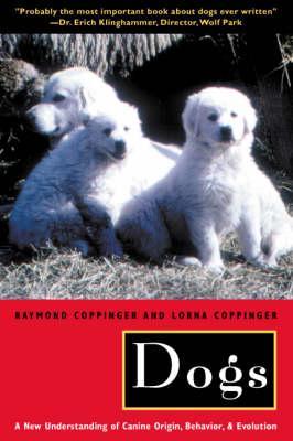 Dogs - Lorna Coppinger