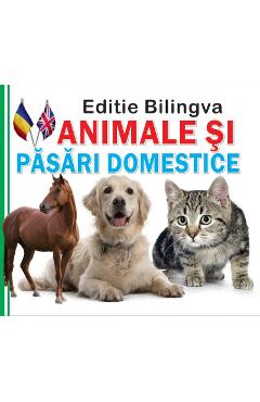 Animale si pasari domestice. Editie bilingva (carte plianta)