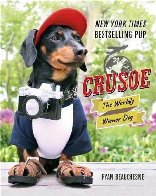 Crusoe, the Worldly Wiener Dog - Ryan Beauchesne