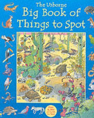 Big Book of Things to Spot - Ruth Brocklehurst
