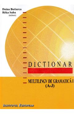 Poza produsului Dictionar multilingv de gramatica Vol.1 (A-J) - Doina Butiurca, Reka Suba