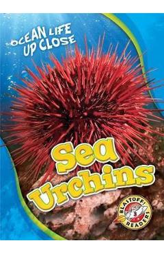 Poza produsului Sea Urchins - Heather Adamson