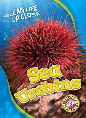 Sea Urchins - Heather Adamson
