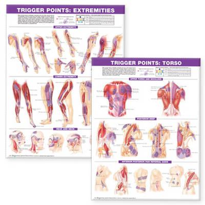 Trigger Point Chart Set: Torso & Extremities Paper -  