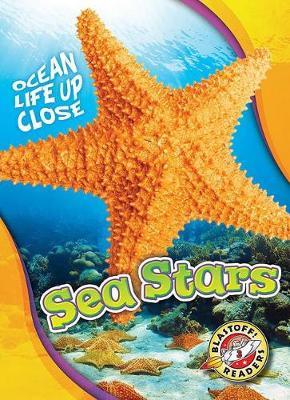 Sea Stars - Rebecca Pettiford