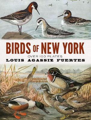Birds of New York - Louis Agassiz Fuertes