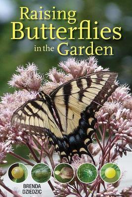 Raising Butterflies in the Garden - Brenda Dziedzic