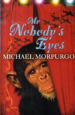 Coperta cărții 'Mr Nobody's Eyes'