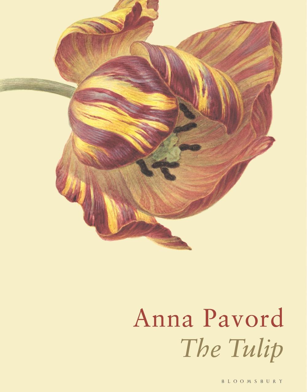 Tulip - Anna Pavord