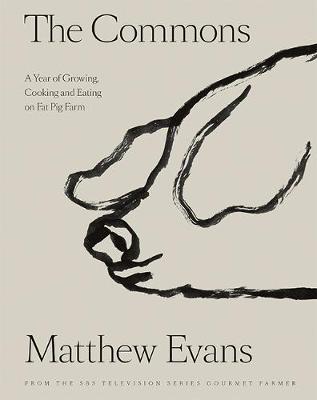 Commons - Matthew Evans