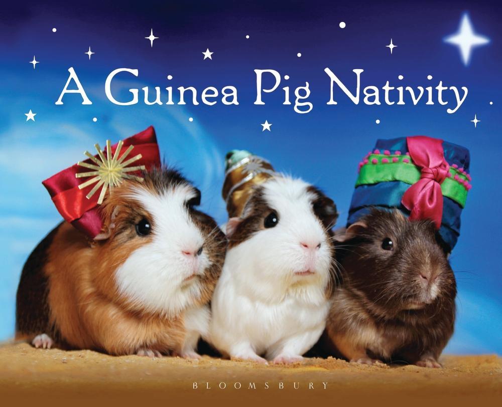 Guinea Pig Nativity -  