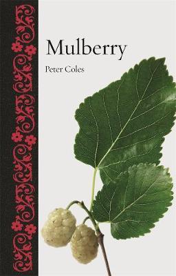 Mulberry - Peter Coles