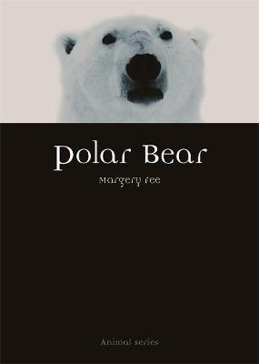 Polar Bear - Margery Fee
