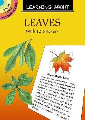 Learning About Leaves - Dot Barlowe