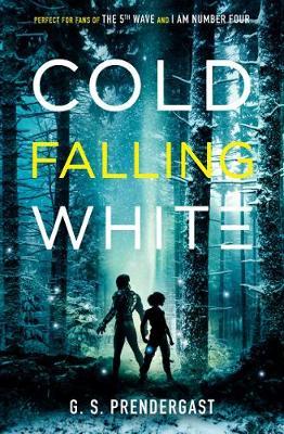 Cold Falling White - Gabrielle Prendergast