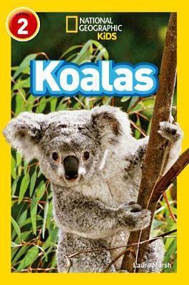Koalas -  