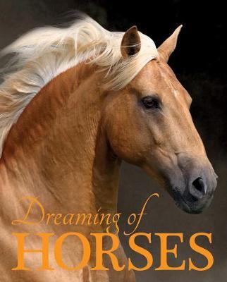 Dreaming of Horses - Nicola Jane Swinney