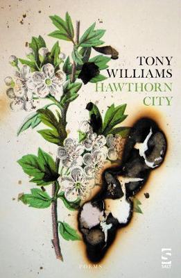 Hawthorn City - Tony Williams