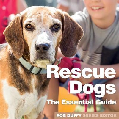 Rescue Dogs - Rob Duffy