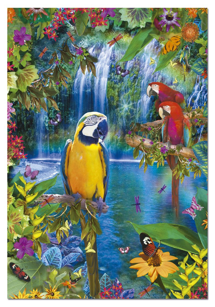 Puzzle 500. Bird Tropical Land