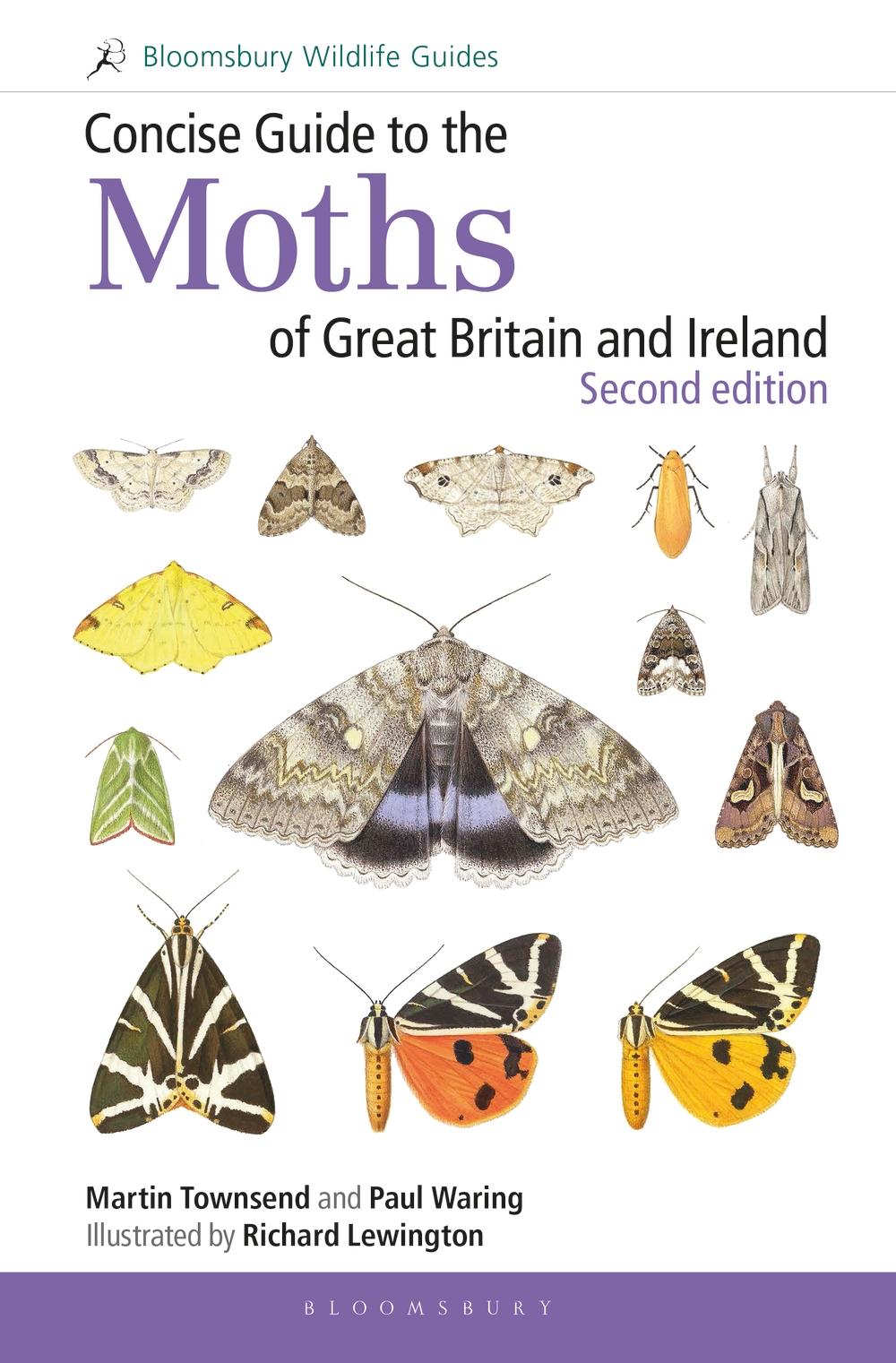 Concise Guide to the Moths of Great Britain and Ireland: Sec - Martin Townsend