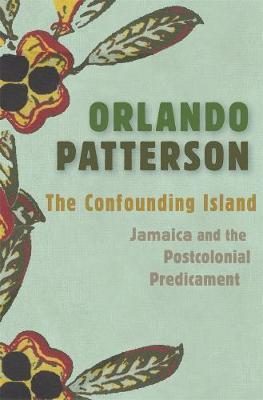 Confounding Island - Orlando Patterson