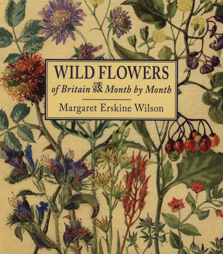 Wild Flowers of Britain