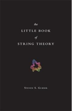 Little Book of String Theory