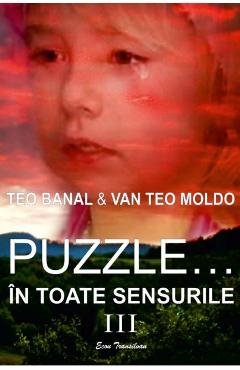 Poza produsului Puzzle... in toate sensurile Vol. 3 - Teo Banal, Van Teo Moldo