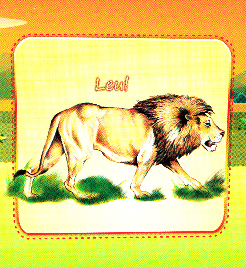 Animale salbatice (pliant)