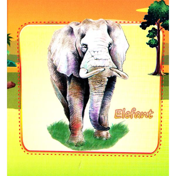 Animale salbatice (pliant)