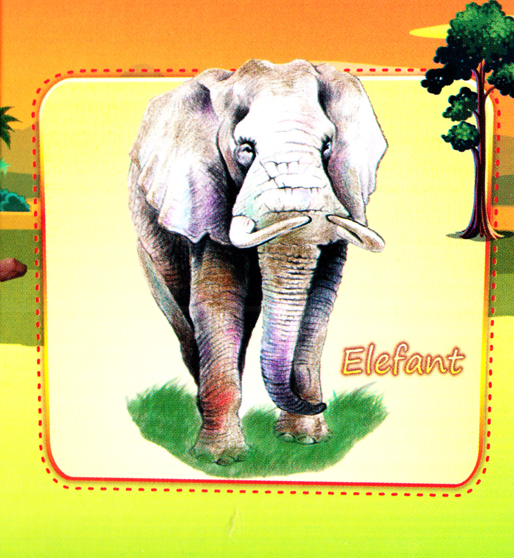 Animale salbatice (pliant)