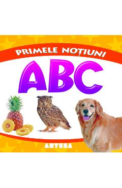 Primele  notiuni - ABC