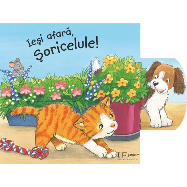 Iesi afara, Soricelule!