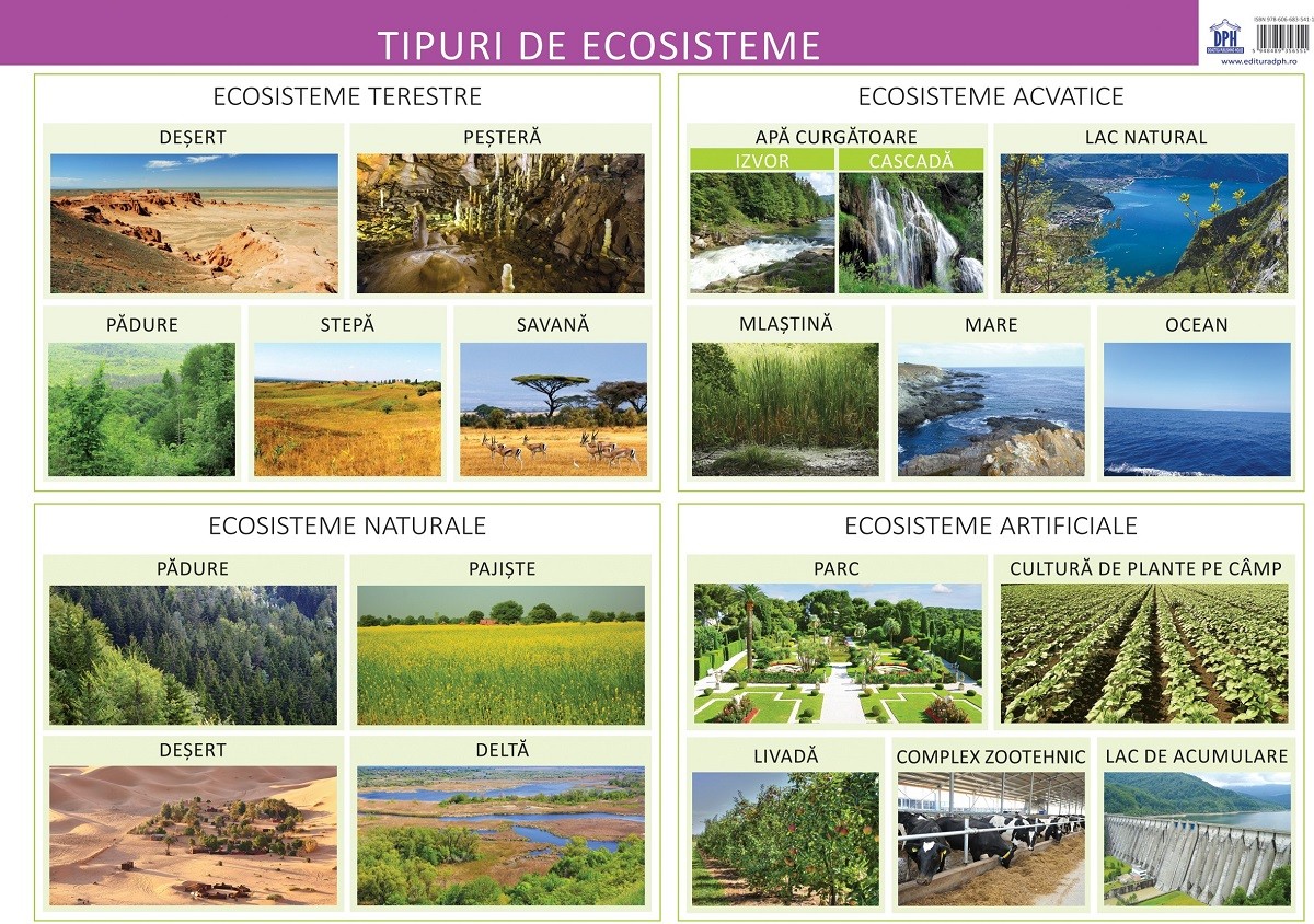 Plansa tipuri de ecosisteme - Florica Alexandrescu