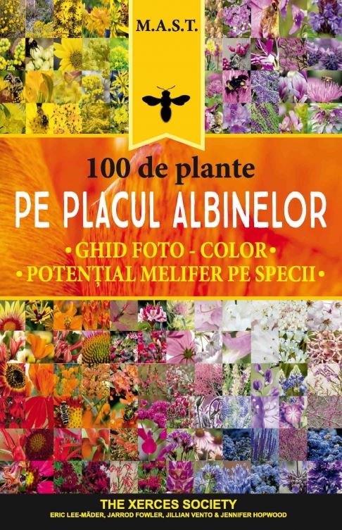 100 de plante pe placul albinelor