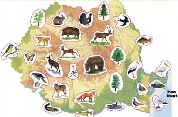 Harta Romaniei cu animale si plante. Joc didactic cu 29 de piese