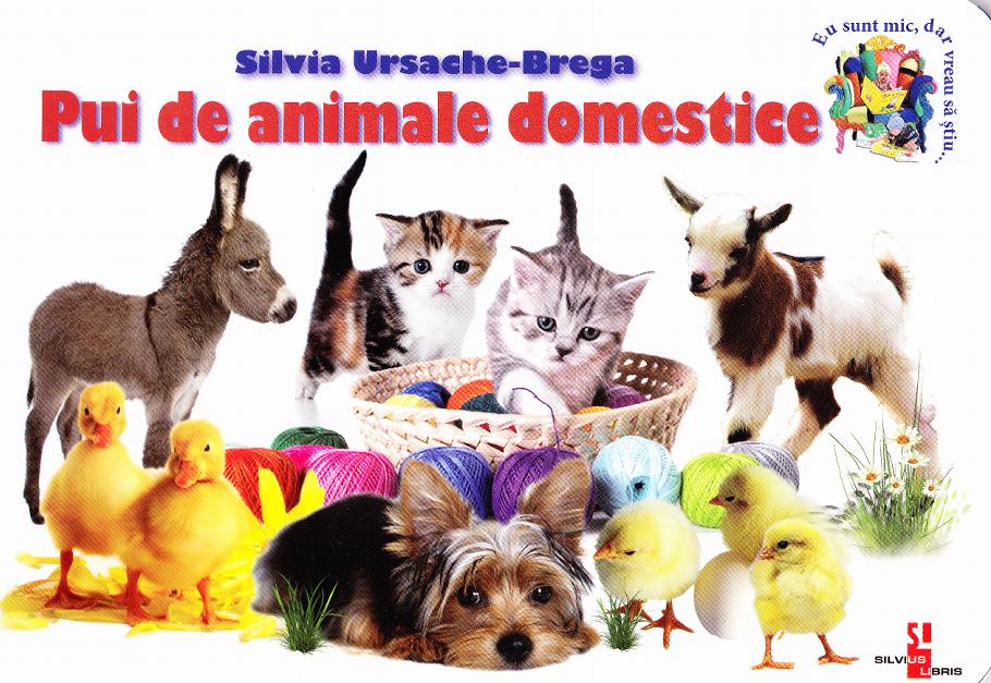 Pui de animale domestice - Silvia Ursache-Brega