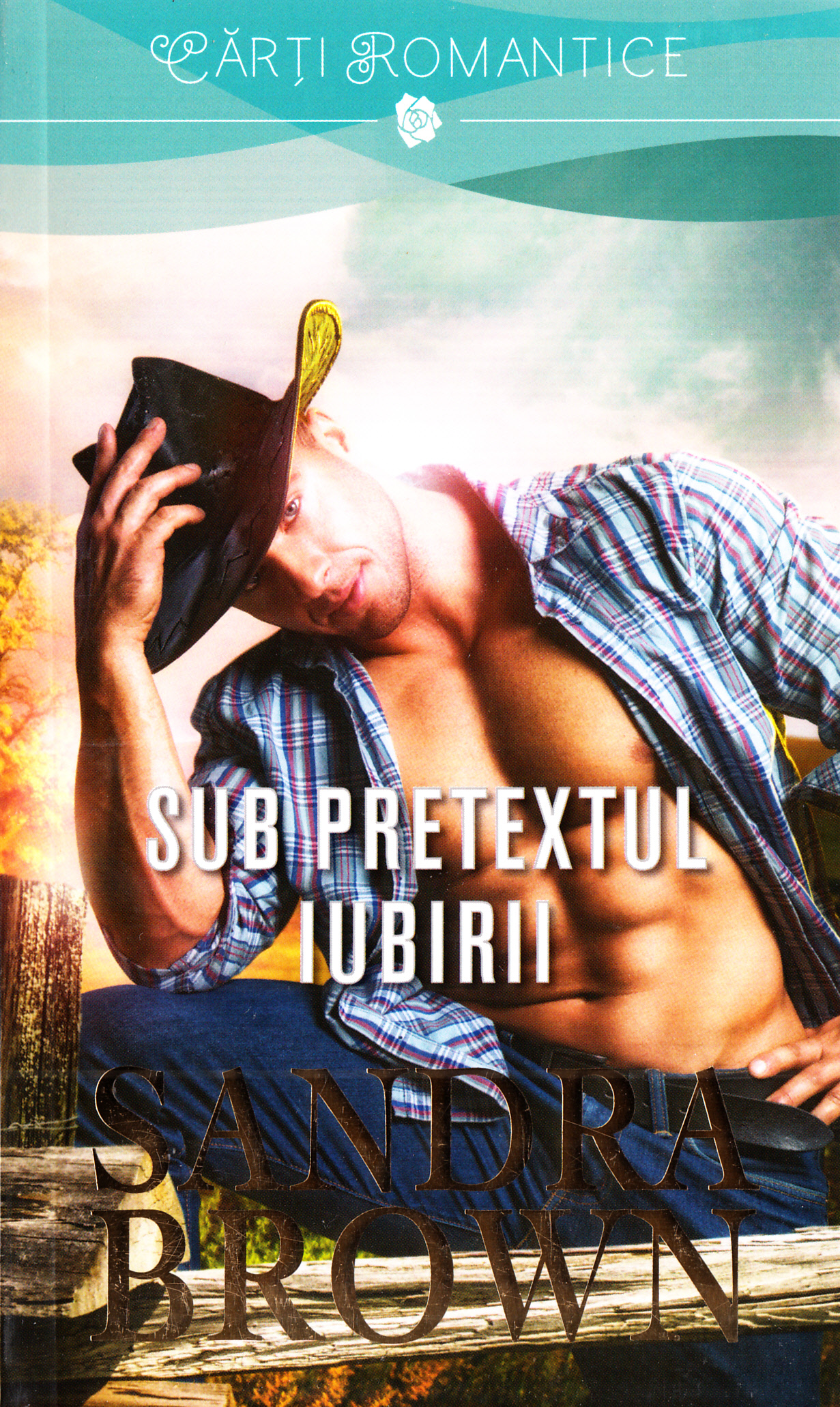 Sub pretextul iubirii - Sandra Brown