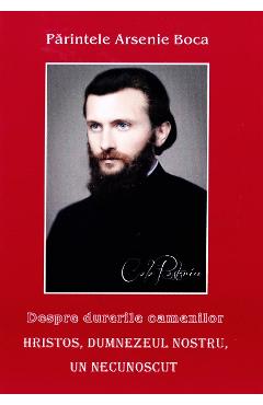 Poza produsului Despre durerile oamenilor Vol.8 - Arsenie Boca