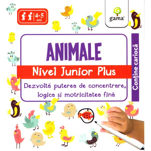 IQ Focus - Animale. Nivel Junior Plus 4-5 ani