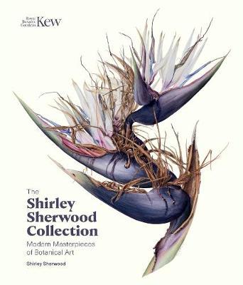 Shirley Sherwood Collection - Shirley Sherwood
