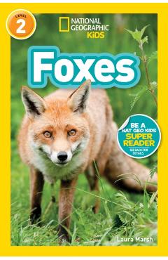 Foxes (L2) -